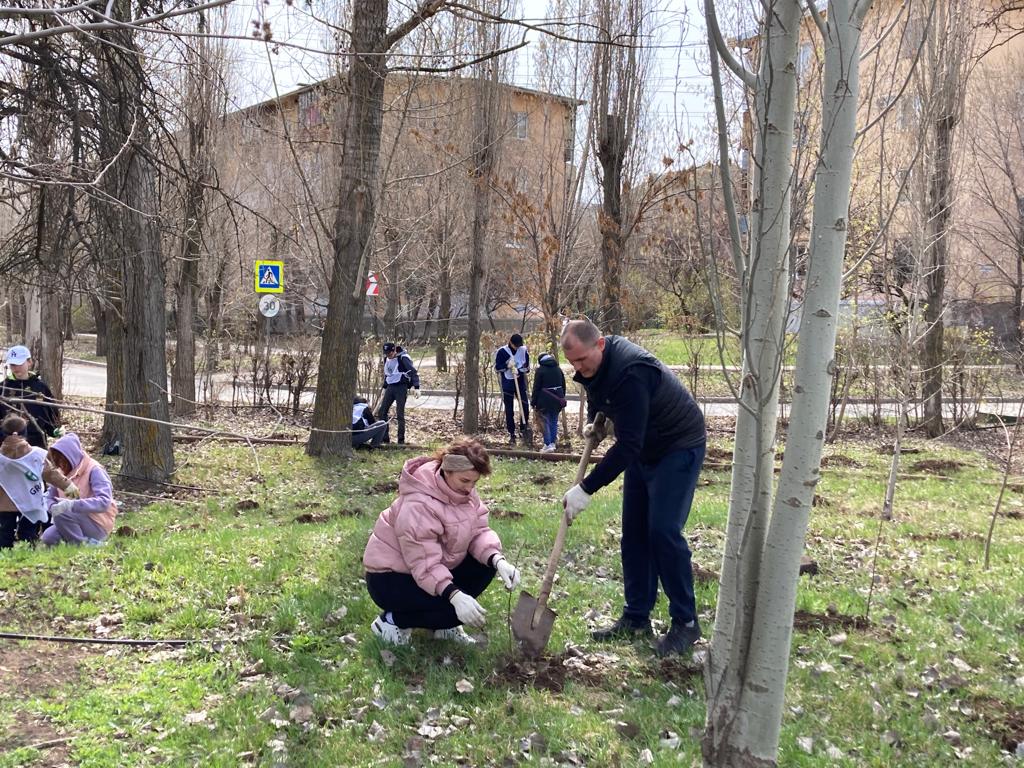 Волжский готовится к осенней акции по озеленению