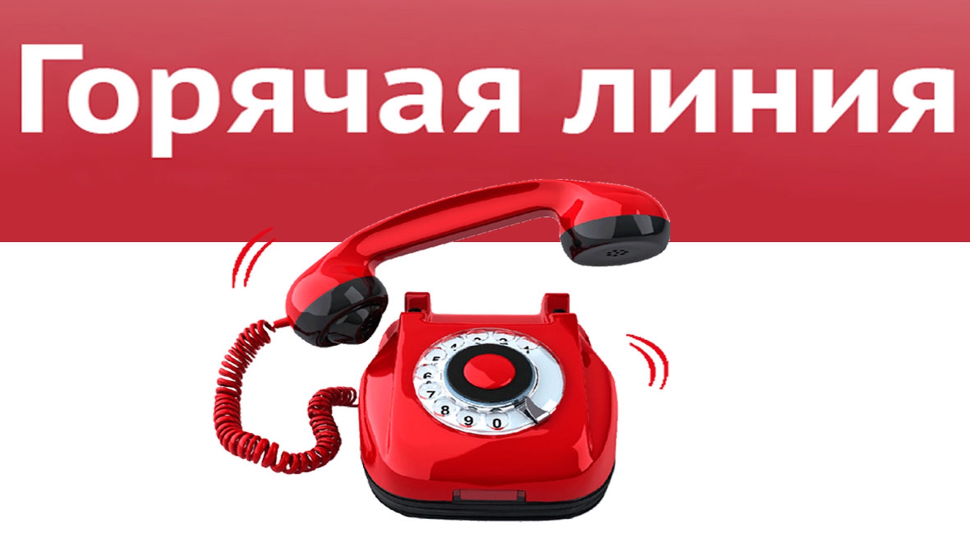 В администрации Волжского работает телефон горячей линии